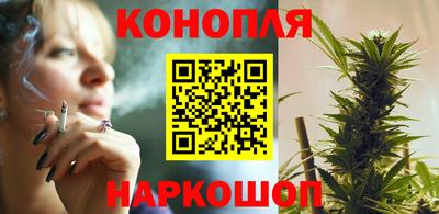 прущие грибы Севастополь